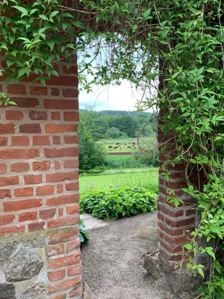Billede 4 af Gartnerhuset på Kollerup