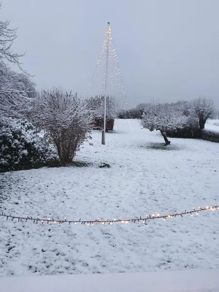 Billede 4 af Molshøjgård