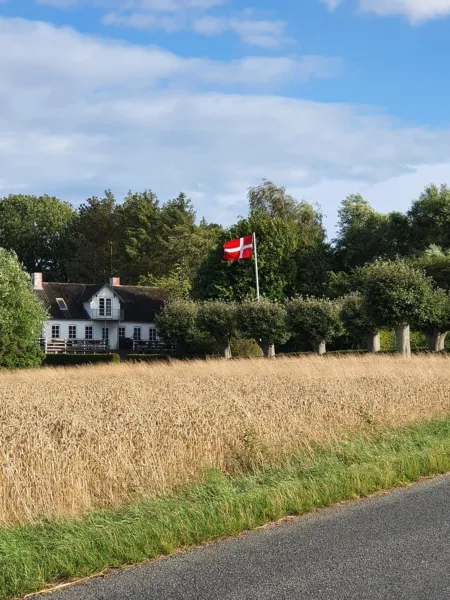 Billede 27 af Molshøjgård