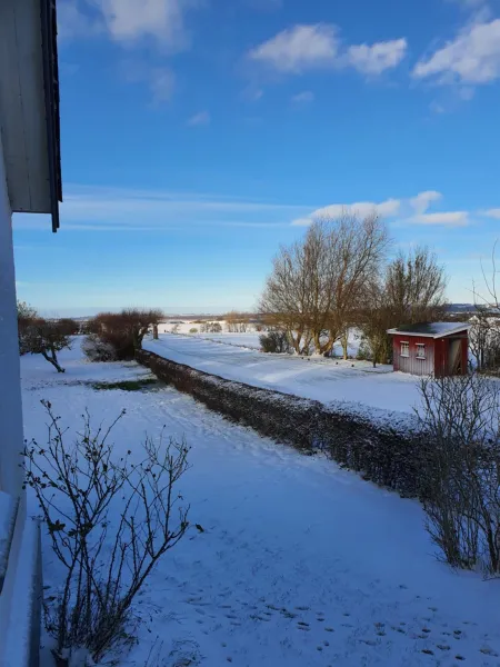 Billede 32 af Molshøjgård