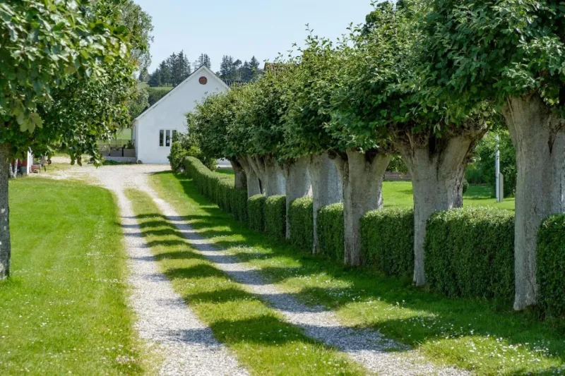 Billede 92 af Molshøjgård