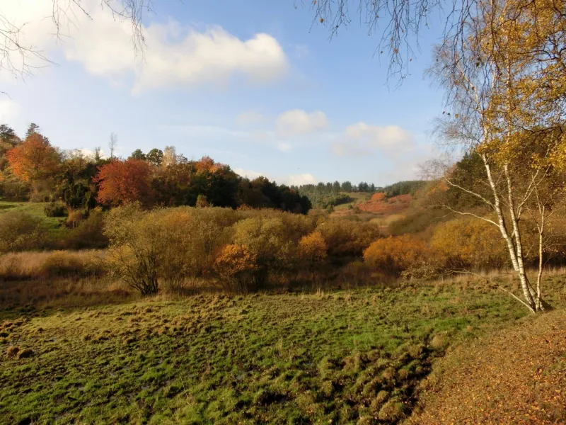 Bramslevgaard photo 5