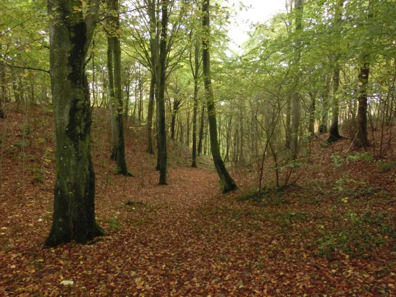 Bramslevgaard photo 61