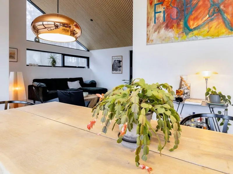 Billede 8 af 5 Star Holiday Home in Frederikshavn