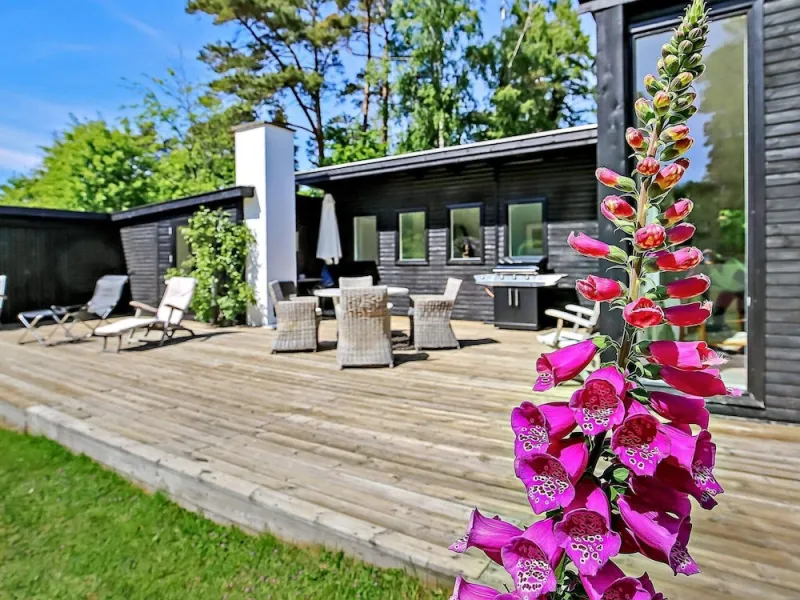 Billede 19 af 6 Person Holiday Home in Tisvildeleje