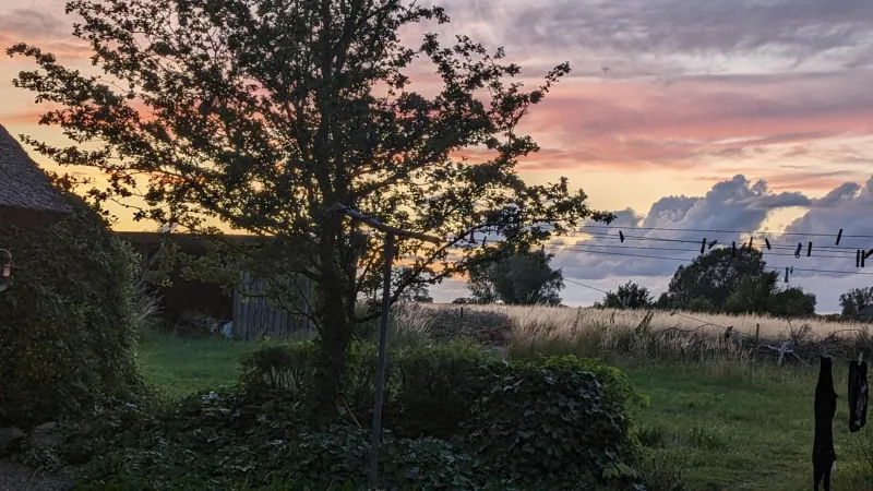 Billede 6 af Under Valnødden