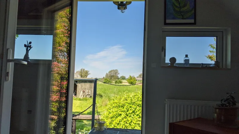 Billede 16 af Under Valnødden