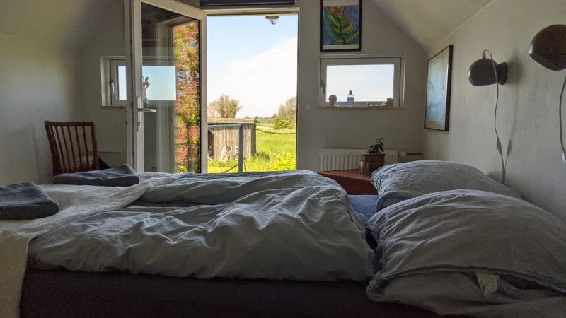 Billede 23 af Under Valnødden