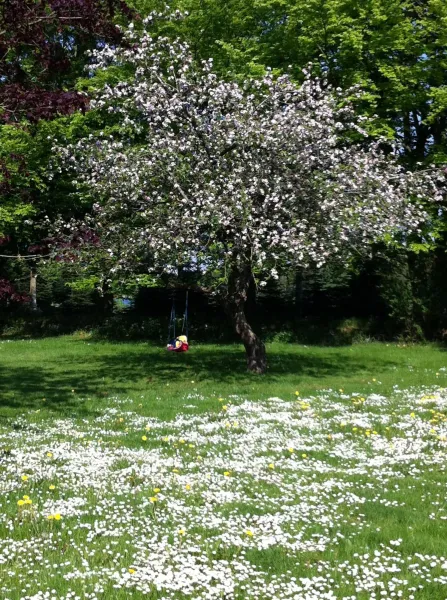 Billede 2 af Tollundgaard Golf Park & Apartments