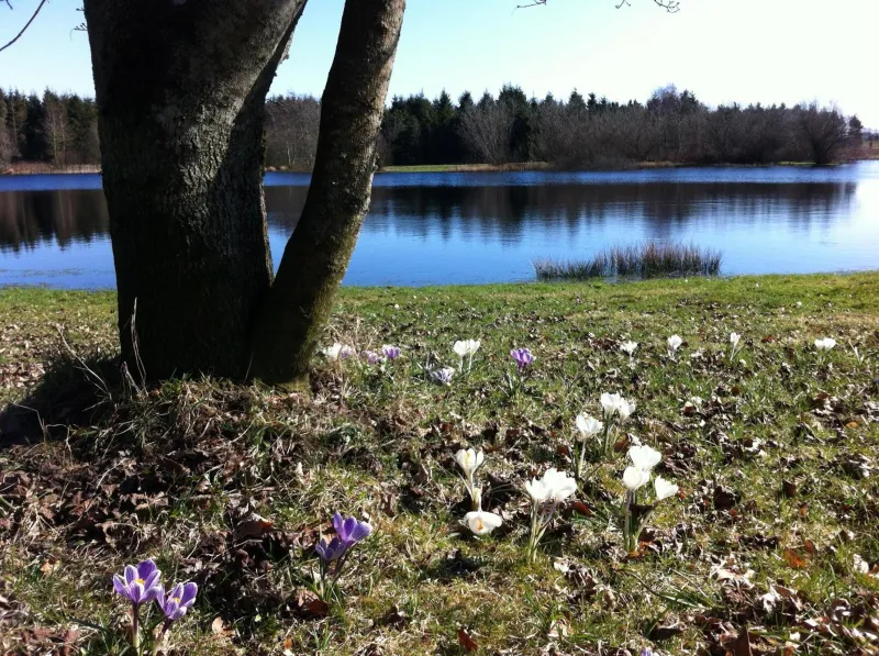 Billede 3 af Tollundgaard Golf Park & Apartments
