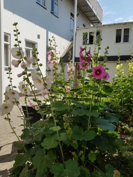 Hotel Sandvig Havn photo 19