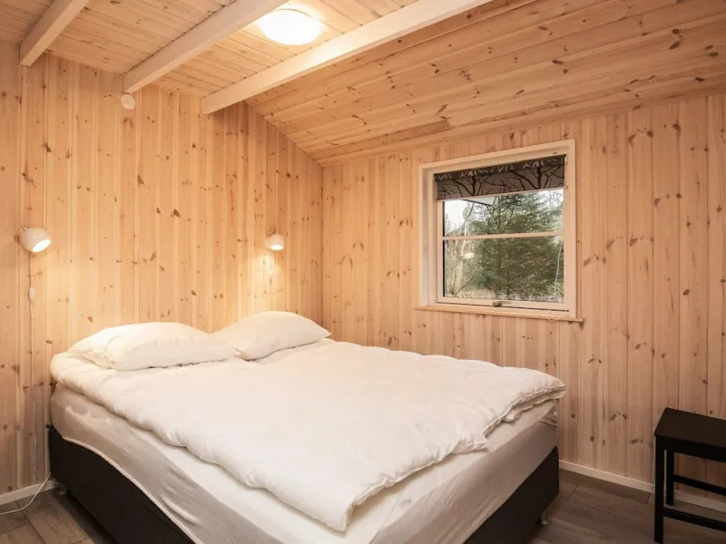Billede 8 af 12 Person Holiday Home in Fjerritslev