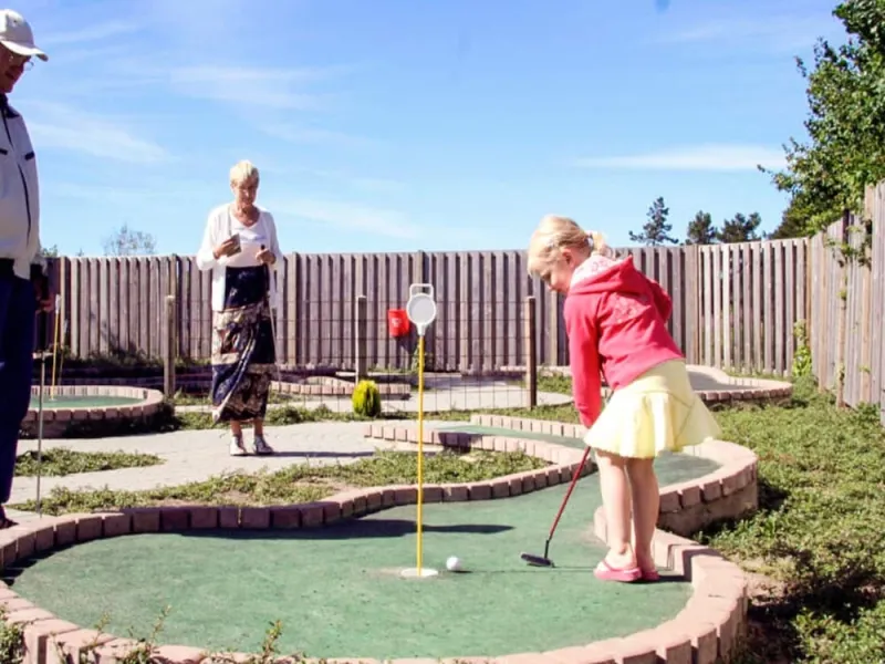 Billede 8 af 6 Person Holiday Park Home in Skagen