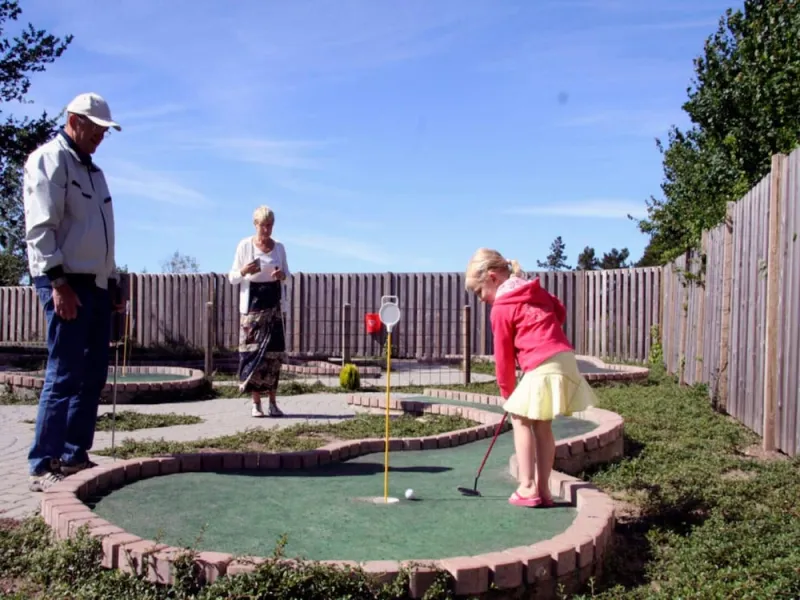 Billede 11 af 6 Person Holiday Park Home in Skagen