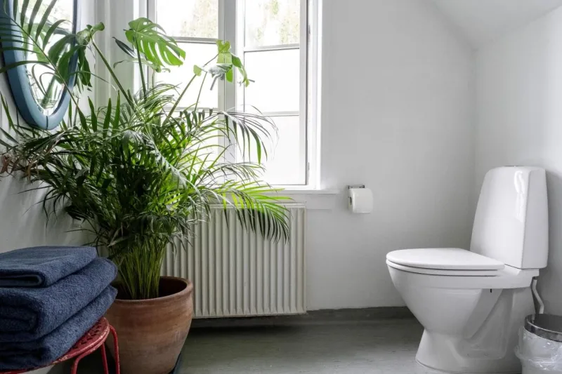 Billede 29 af Rosenhøj