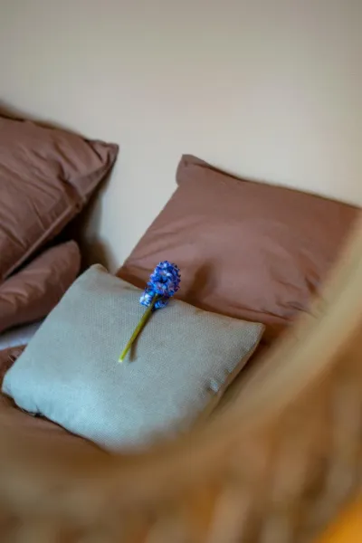 Billede 27 af Mosters Bed & Breakfast