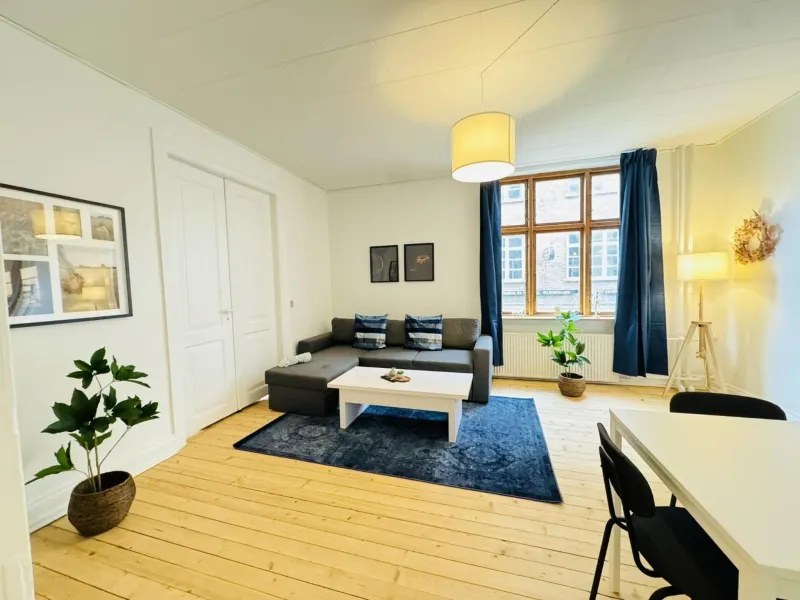 aday - Beautiful 3 bedrooms apartment on Jomfru AneGade