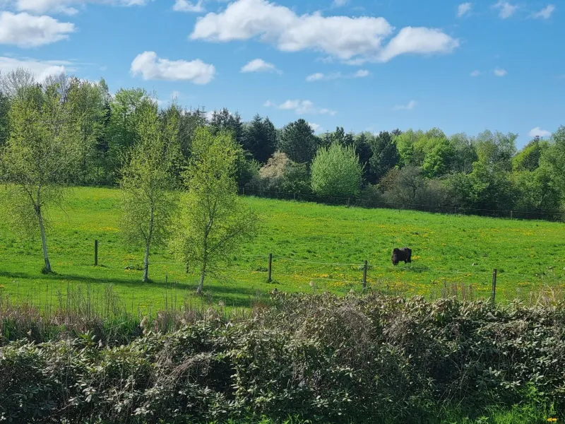 Billede 9 af Gæstehuset på Agerholm