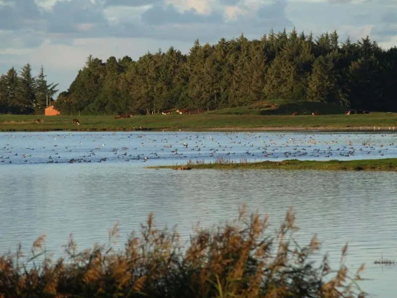Billede 22 af Skibstedborg - naturhytte i Thy