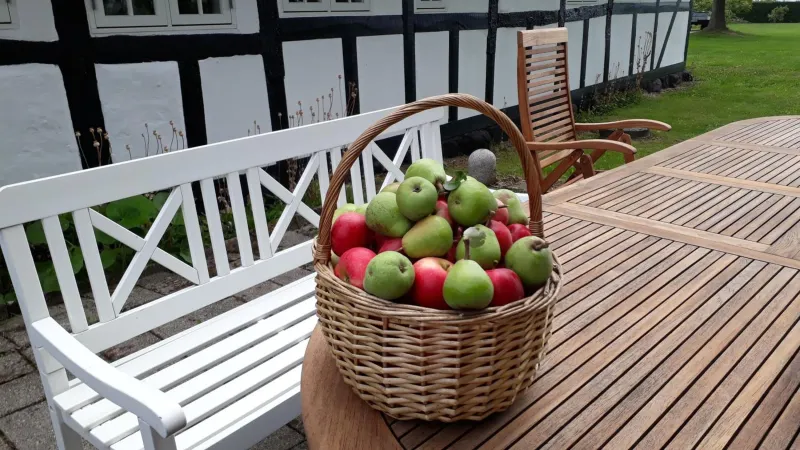 Billede 7 af Baekgaarden B&B