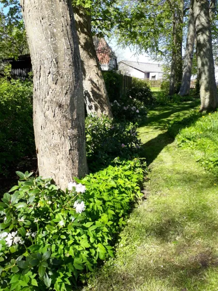 Billede 24 af Baekgaarden B&B