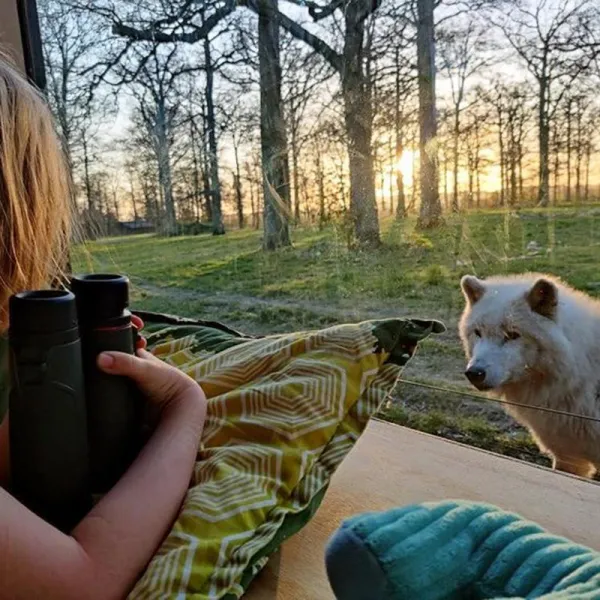 Billede 67 af Knuthenborg Safaripark