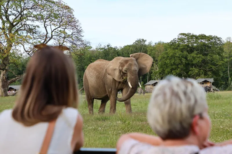 Billede 72 af Knuthenborg Safaripark