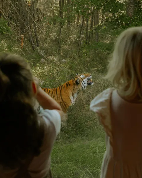 Billede 74 af Knuthenborg Safaripark