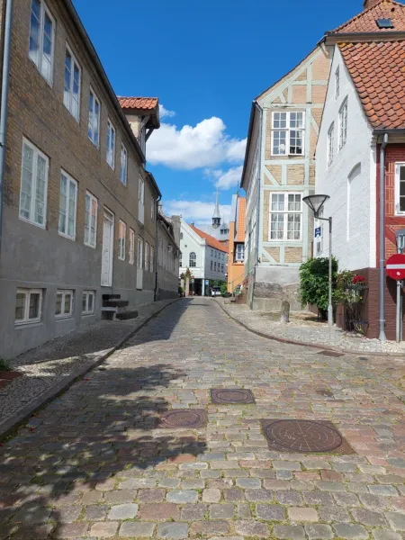 Billede 1 af Hyggelig lejlighed i baggård