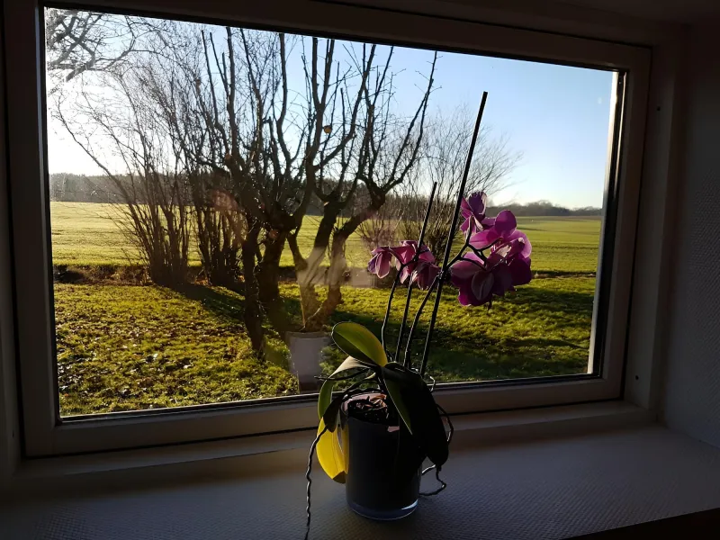 Billede 16 af Seng og Kaffe B&B