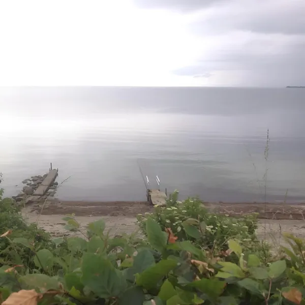 Billede 12 af Gåsevig Strand Camping
