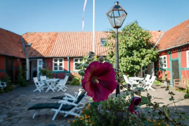 Billede 54 af Pension Holmegaard