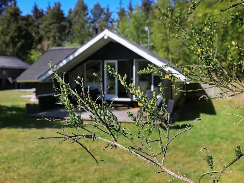 Billede 3 af 7 Person Holiday Home in Saeby