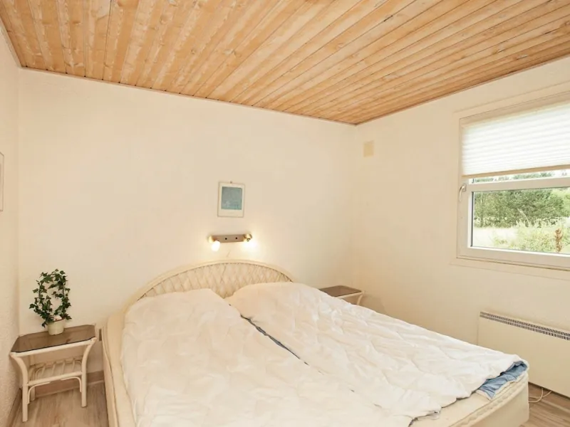 Billede 25 af 10 Person Holiday Home in Blavand