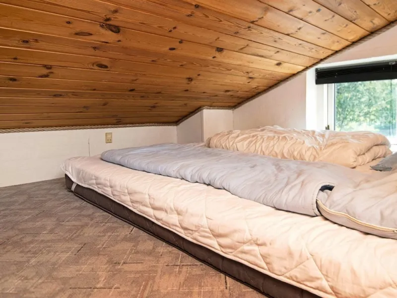 Billede 4 af 12 Person Holiday Home in Ebeltoft