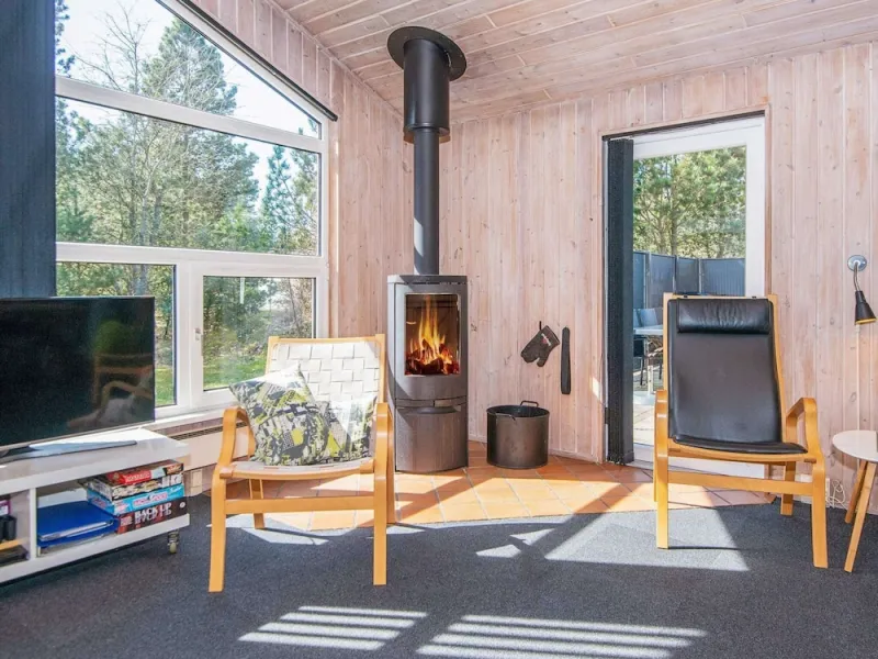 Billede 2 af 12 Person Holiday Home in Blavand
