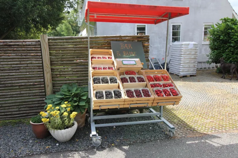 Billede 110 af Strandsegård Ferielejlighed
