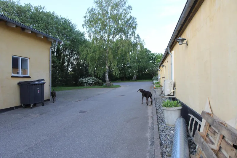 Billede 35 af Strandsegård Ferielejlighed