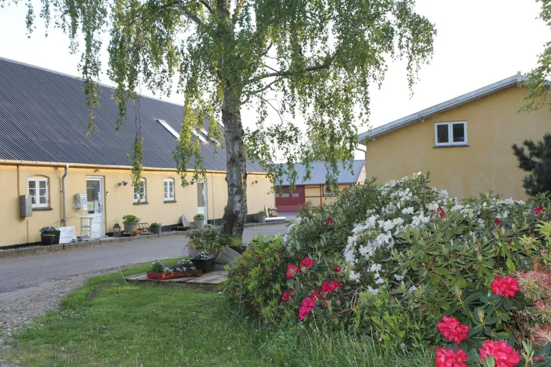 Billede 97 af Strandsegård Ferielejlighed
