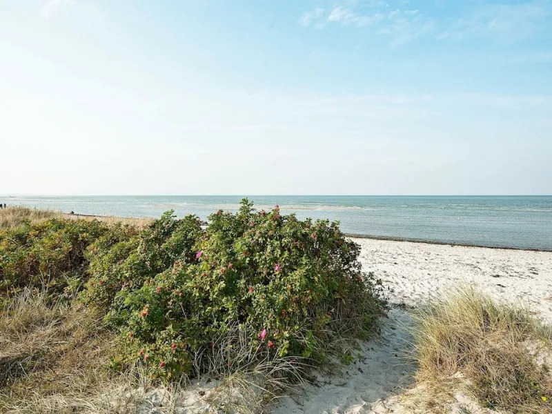 Billede 28 af 6 Person Holiday Home in Glesborg