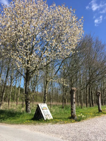 Billede 24 af Rainbows End B&B