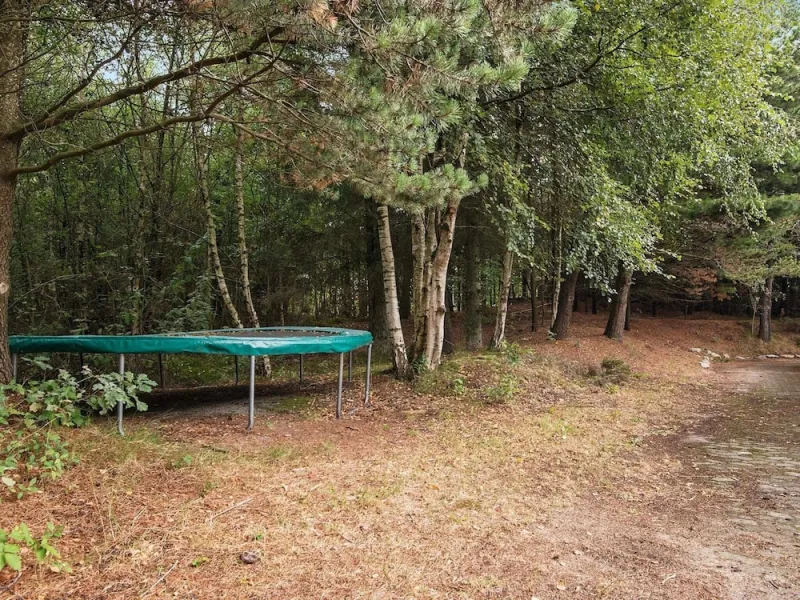 Billede 3 af 10 Person Holiday Home in Henne