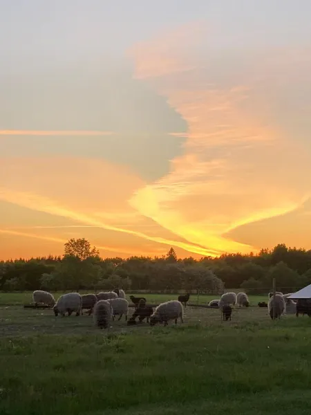 Billede 5 af Hyrdeskolen