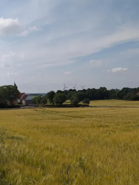 Billede 48 af Solbjerg Skov B&B