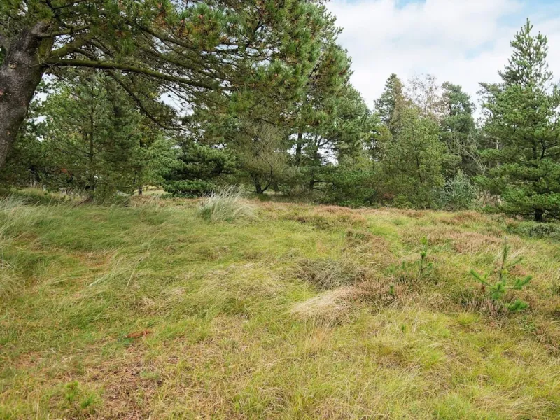 Billede 13 af 6 Person Holiday Home in Romo