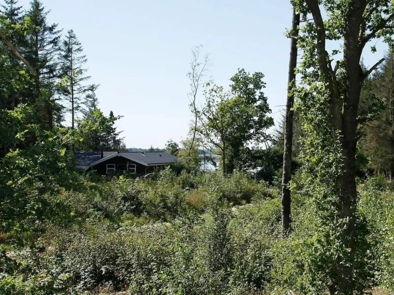 Billede 8 af 8 Person Holiday Home in Skals