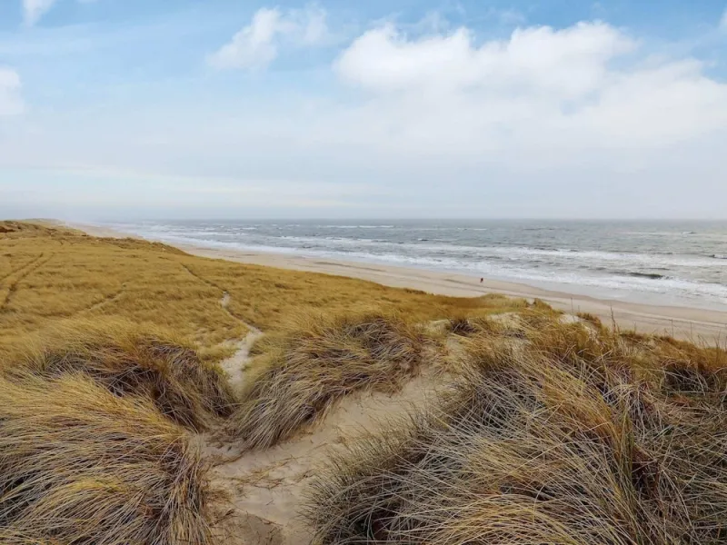 Billede 23 af 5 Person Holiday Home in Hvide Sande