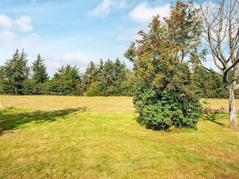 Billede 13 af 6 Person Holiday Home in Ulfborg