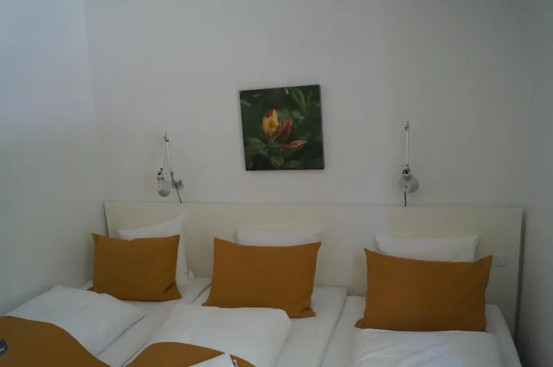 Billede 77 af Skarrildhus Sinatur Hotel & Konference