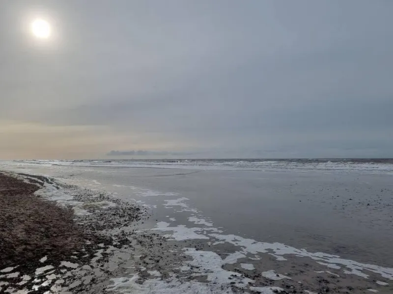 Billede 7 af Hyggeligt lille byhus lige mellem havnen og bytorv
